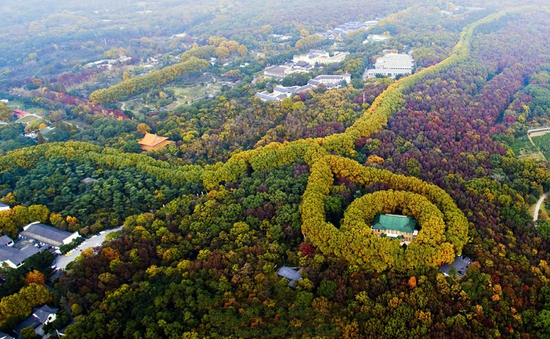 南京紫金山风景区图片