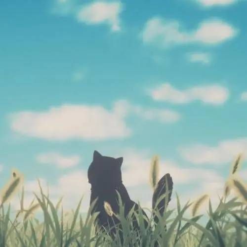 惜源情感