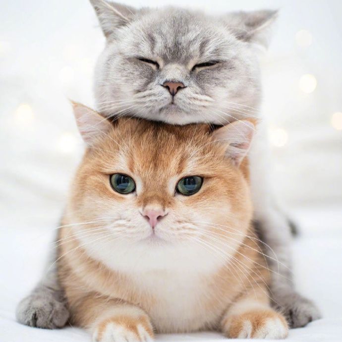 灰灰灰灰灰灰啊