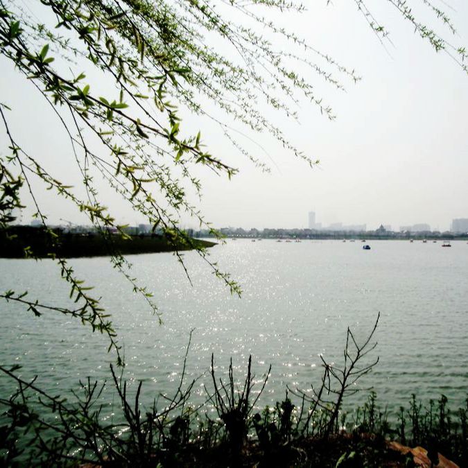 秋水浮萍卧江子