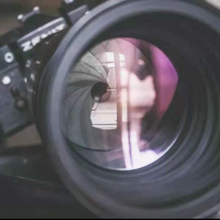 用镜头发现真相