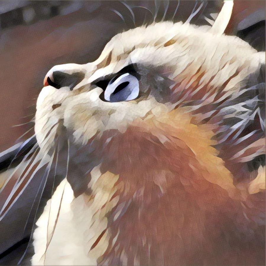 食事轶闻