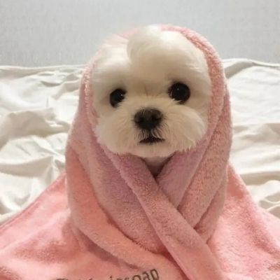 雪梅说体育
