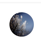 小狐狸电竞游戏解说