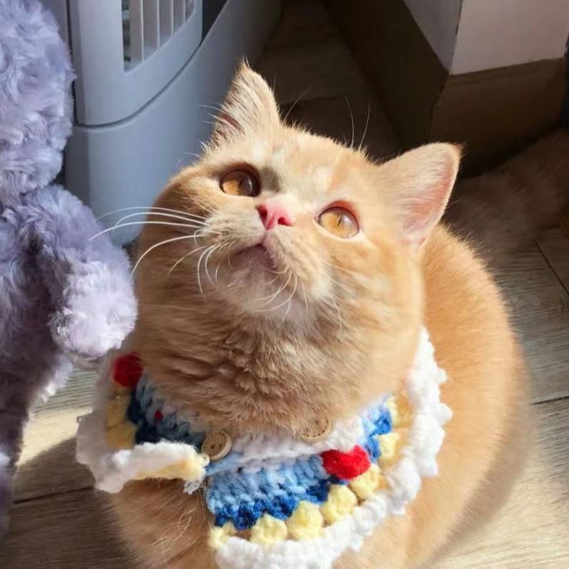 猫舌崔