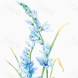 风里雨里云里雾里