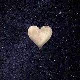 满院奇花溶溶月