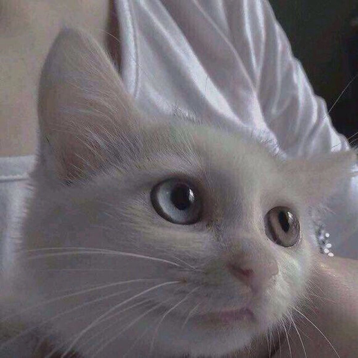 嫣红生活