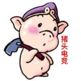 猪头电竞