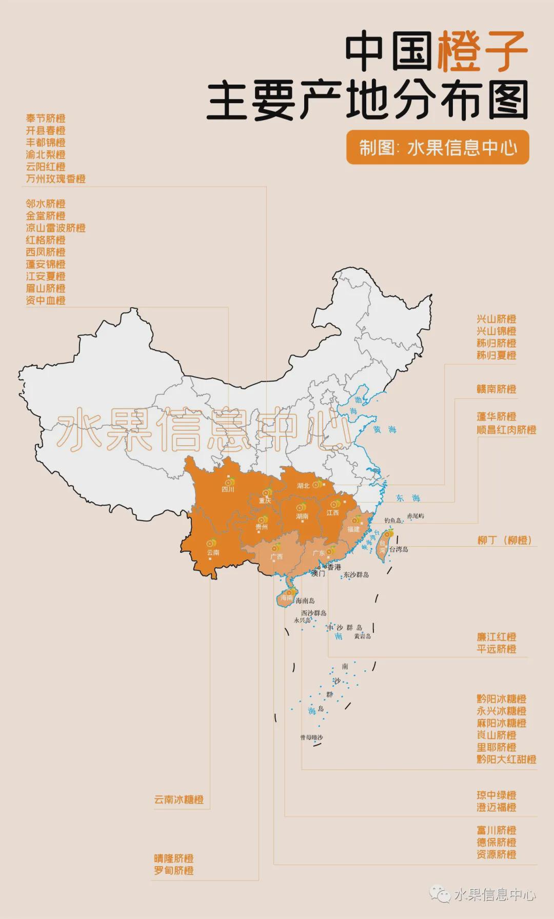 橙子结构示意图解图片