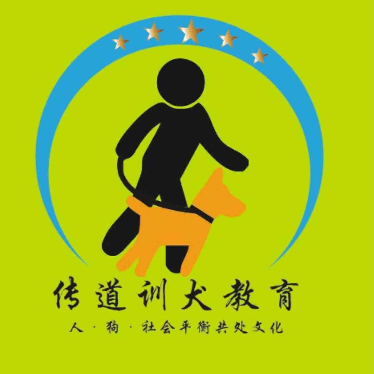 琪哥训犬