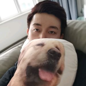 大金毛的铲屎官