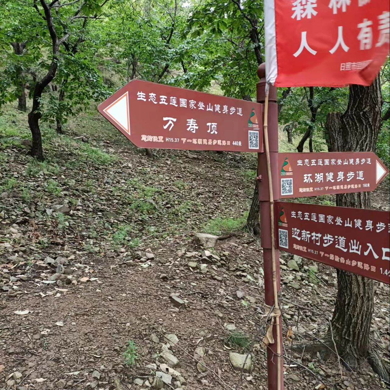敢想敢说