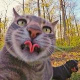 东哥讲动物解说