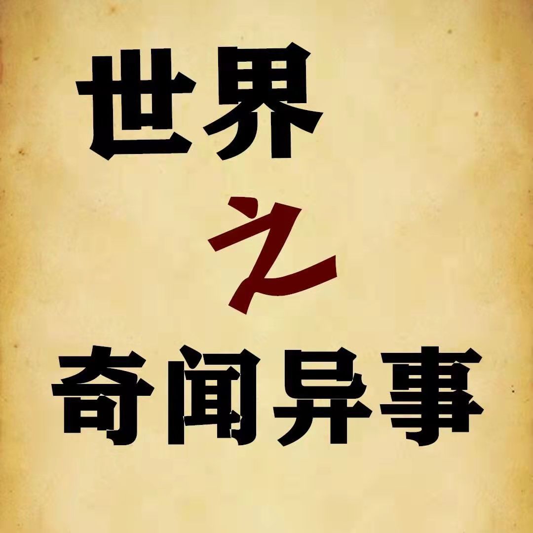 请向前走别回头