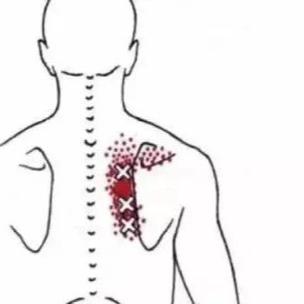 华体梦健身学院