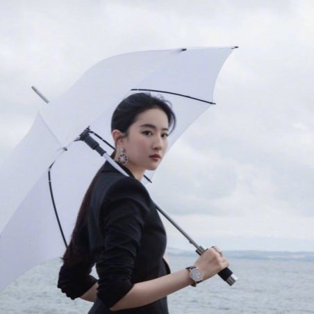 汪雨