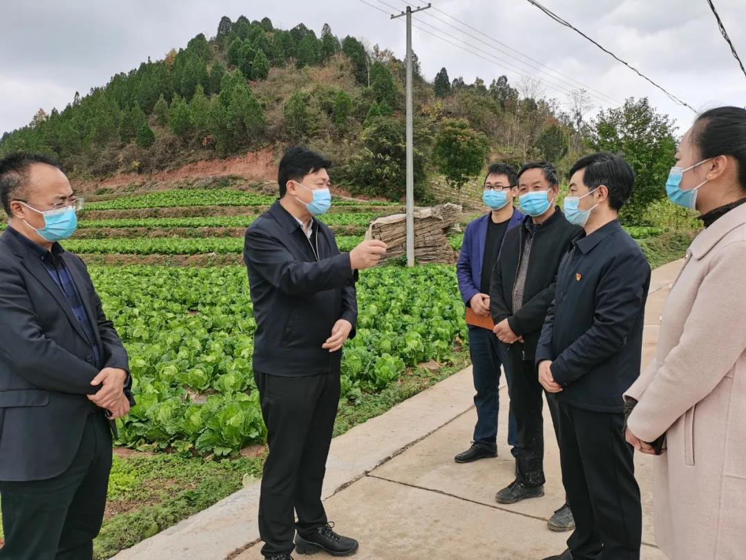 甘肃文县县委书记图片