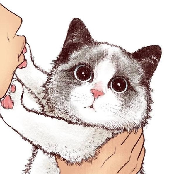 猫眼看斑斓的背后