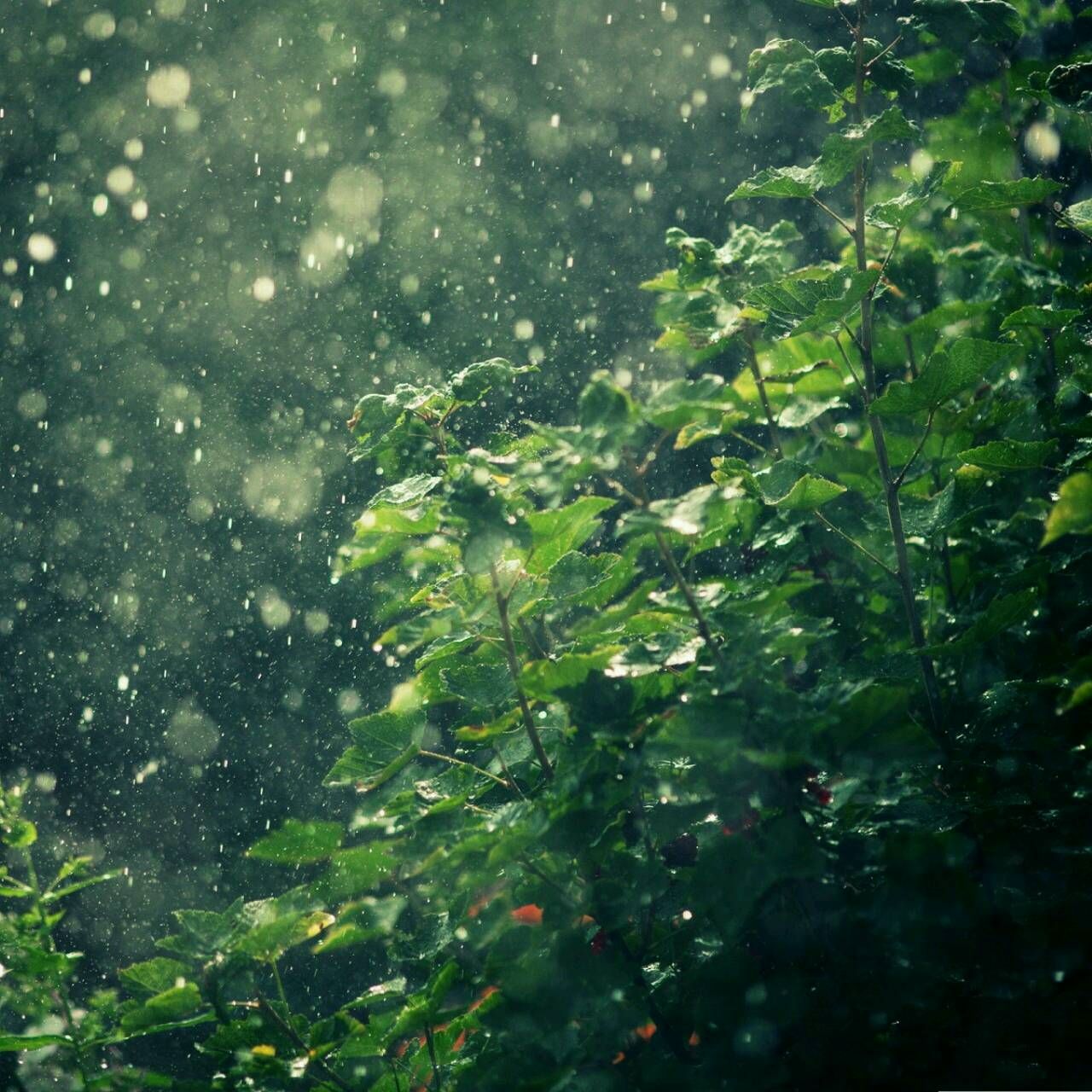 细雨微风