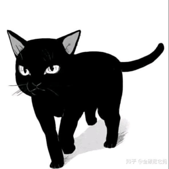 黑猫侃影视
