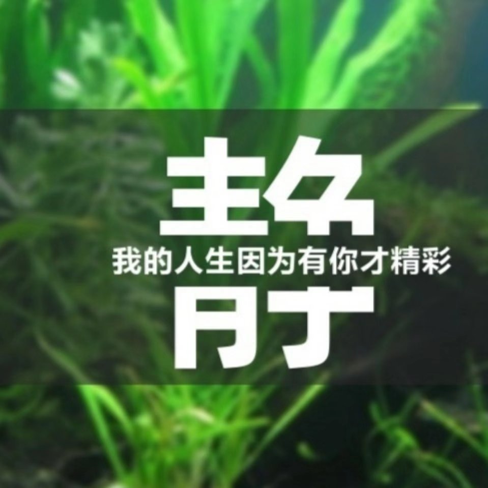 认真的西柚