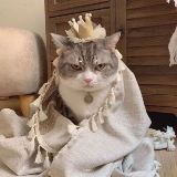 思路解盘