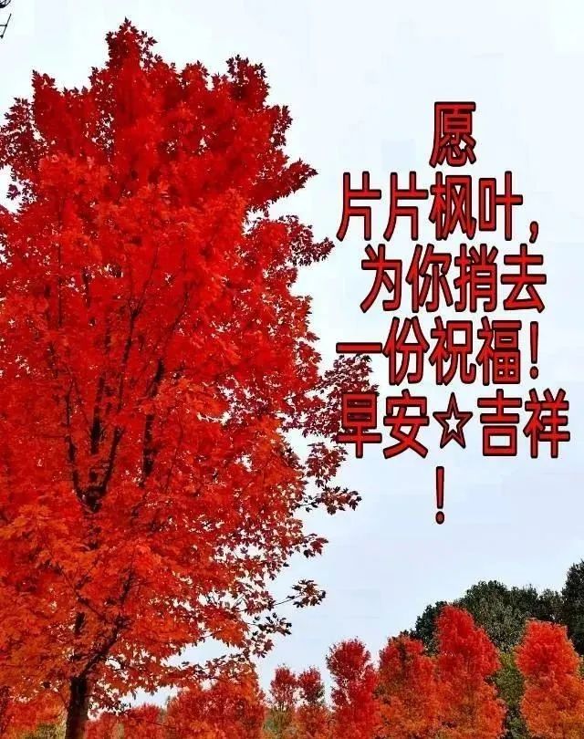 上午好图片带字带祝福语冬日问候祝福语图片文字