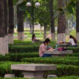 象牙塔学业规划指导