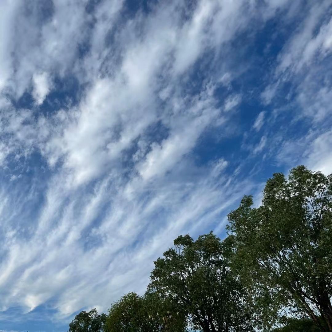 正能量的宣传者