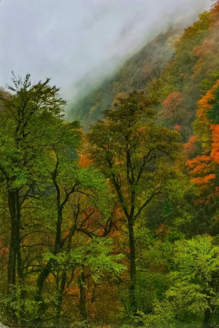 南方观察 山壮美