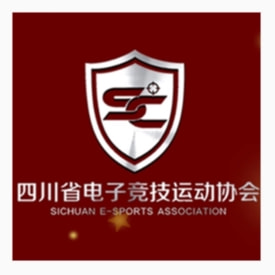 四川省电子竞技运动协会