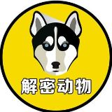 解密动物园