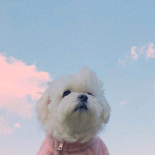 我的尬聊我做主