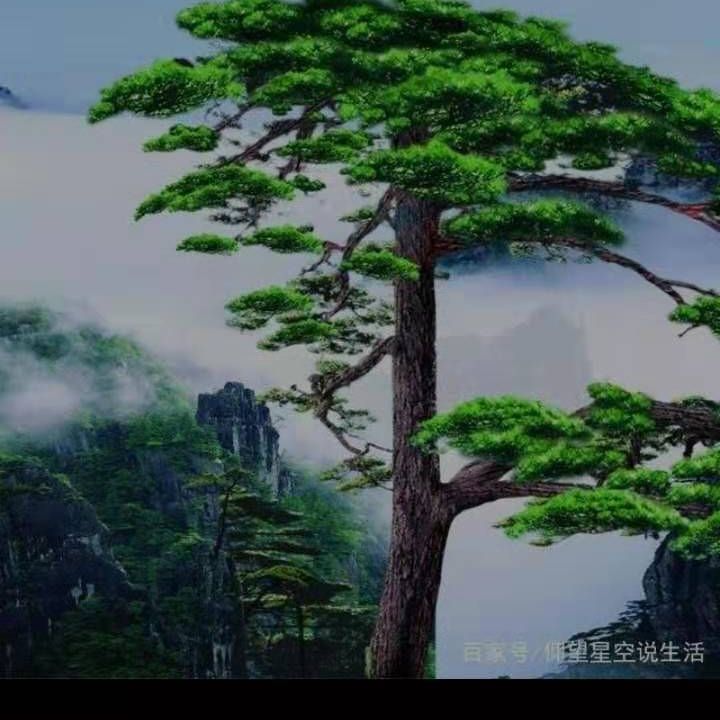 青山影