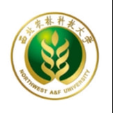 西农资环支教小老师2021