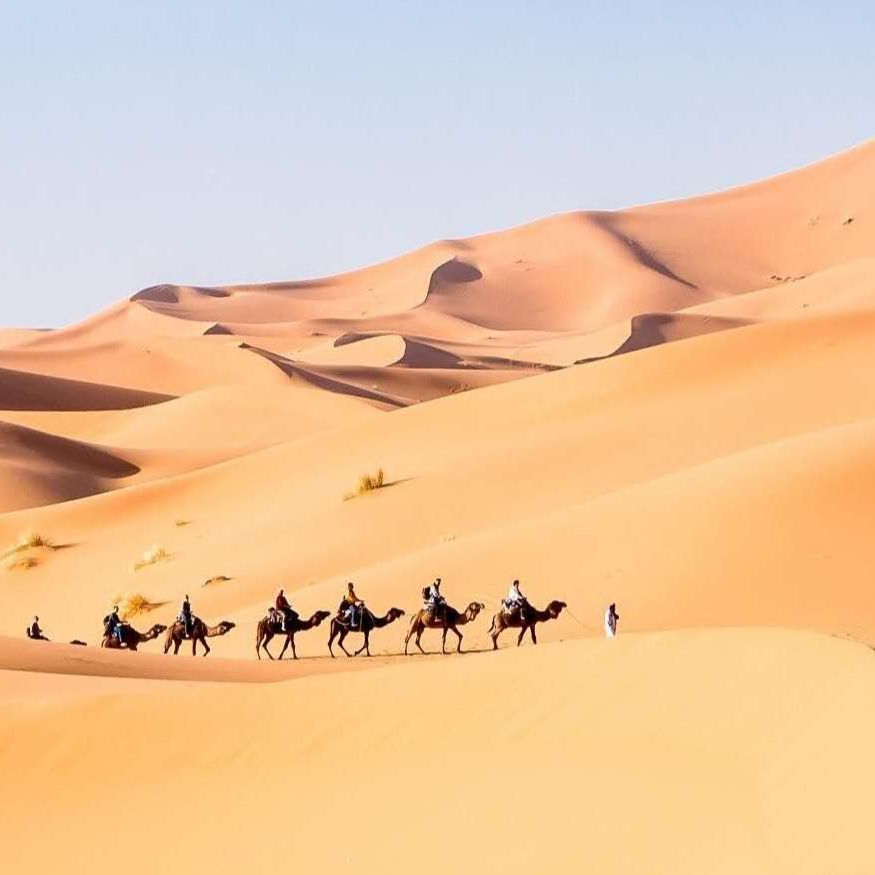 STONE的学习笔记