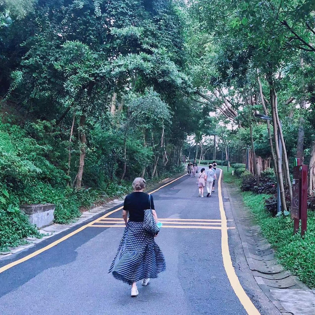 王亚楠辛集定向选调