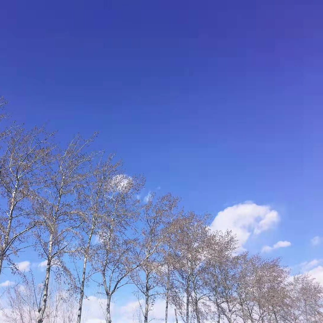 廊坊永清