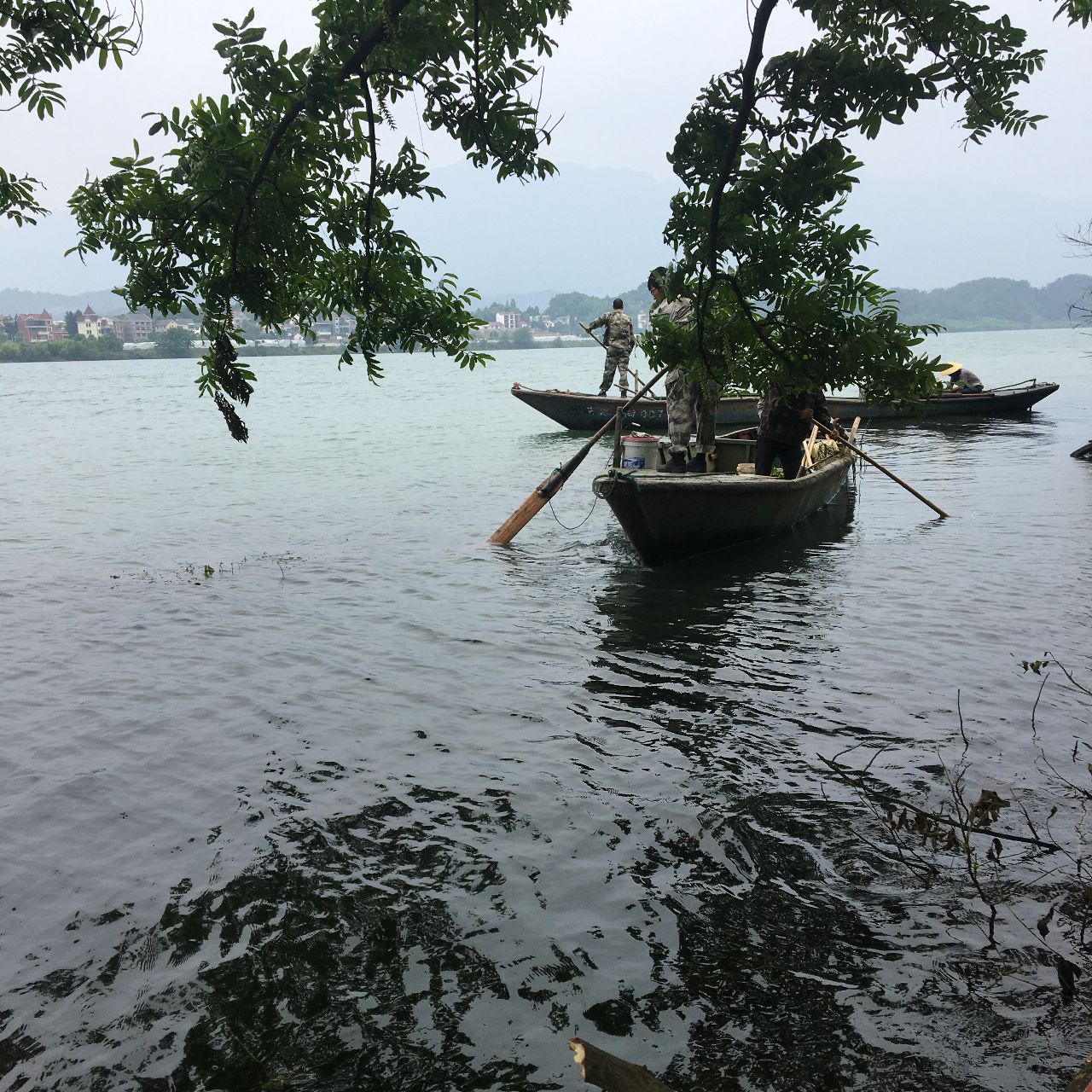 侠客徐浪迹天涯