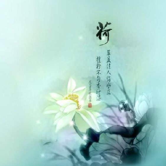 中原一览