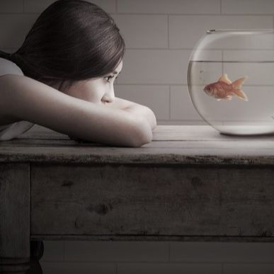 包罗万象福禄兽