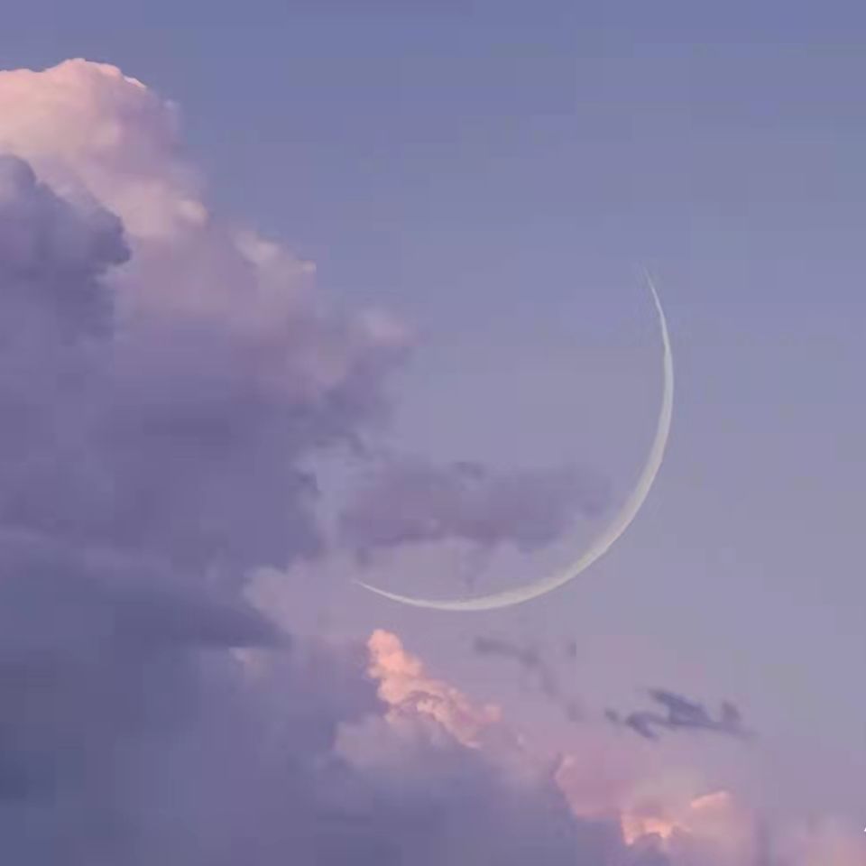 海棠依旧Y