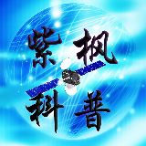 紫枫科普