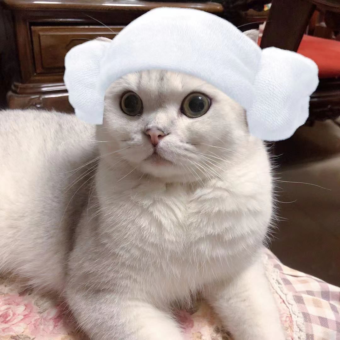 花卷不是大脸猫