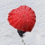 有趣的丫丫看世界