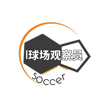 球场观察员