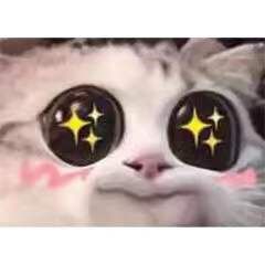 不点进来看看吗