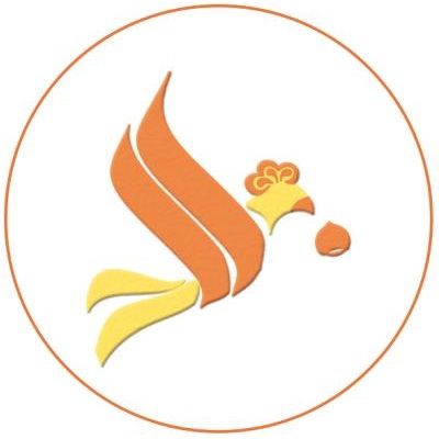 栗子哥的科普日常