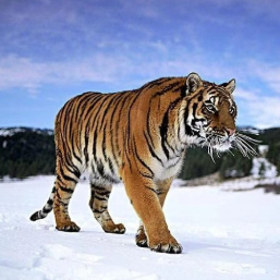 热点与情感的交汇